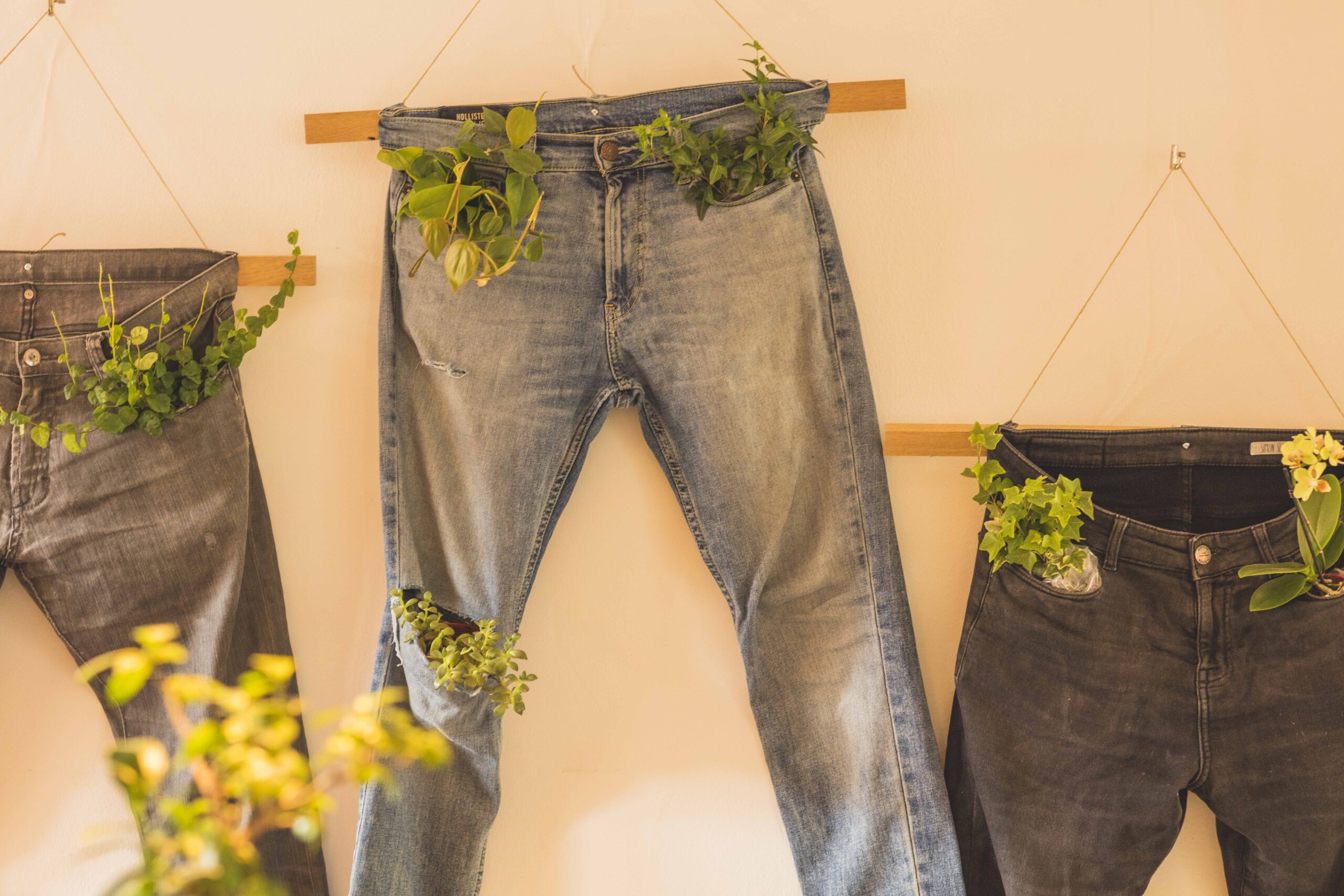 Upcycling Projekt Jeans mit Pflanzen im Hotel Luise