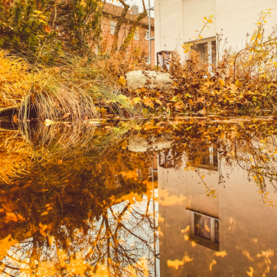 Naturgarten im Herbst im Hotel Luise