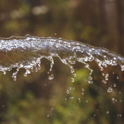 Granderwasser im Hotel Luise in Erlangen