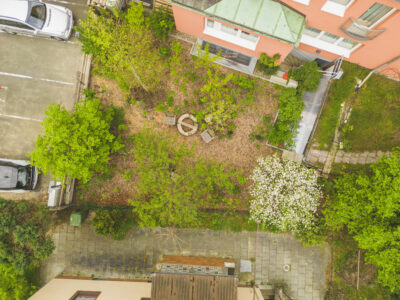 Mikrowald von oben fotografiert als Beispiel für Schwammstadtgarten